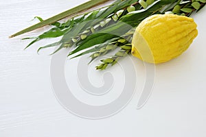 Jewish festival of Sukkot. Traditional symbols The four species: Etrog, lulav, hadas, arava.