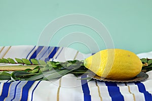 Jewish festival of Sukkot. Traditional symbols The four species: Etrog, lulav, hadas, arava