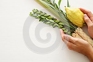 Jewish festival of Sukkot. Traditional symbols The four species: Etrog, lulav, hadas, arava