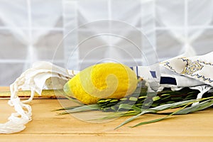 Jewish festival of Sukkot. Traditional symbols The four species: Etrog, lulav, hadas, arava