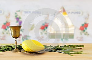 Jewish festival of Sukkot. Traditional symbols The four species: Etrog, lulav, hadas, arava