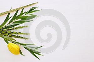 Jewish festival of Sukkot. Traditional symbols & x28;The four species& x29;: Etrog, lulav, hadas, arava. photo