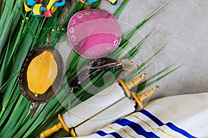 Jewish festival traditional symbols of Sukkot the four species in Etrog, lulav, hadas, arava