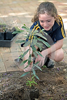 Jewish girl planting a new tree in the garden on Tu Bishvat Jewish holiday