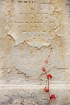 Jewish Headstone flowers stone symbol embem background cemetery old granit marble font letters