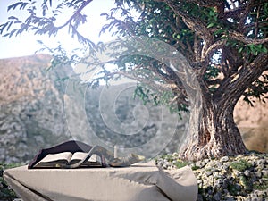 Jewish holiday background with old book and olive tree landscape concept photo