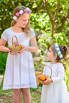 Jewish Holiday Shavuot.Harvest.Two little girls in white dress holds a basket with fresh fruit in a summer garden.