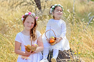 Jewish Holiday Shavuot.Harvest.Two little girls in white dress holds a basket with fresh fruit in a wheat field.