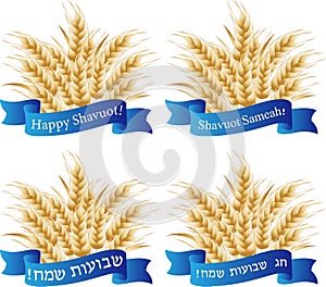 Jewish holiday of Shavuot, wheat ears, greeting