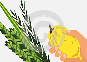 Jewish holiday Sukkot. Lulav ,Etrog, Arava and Hadas. photo