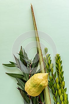 Jewish holiday of Sukkot. Traditional symbols. The four species