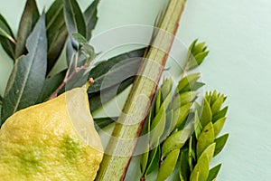Jewish holiday of Sukkot. Traditional symbols. The four species