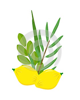 Jewish holiday symbols of Sukkot, four species