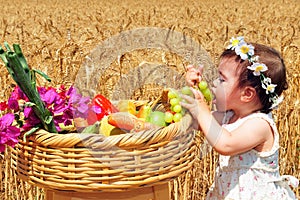 Jewish Holidays - Shavuot photo