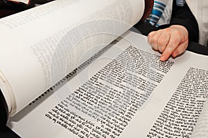 Jewish orthodox man reading from a Torah scroll photo