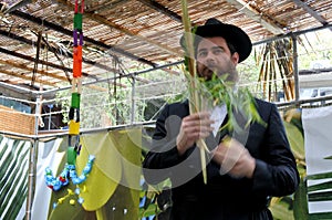 Jewish Orthodox Rabbi blessing on the Four Species in a Sukkah photo