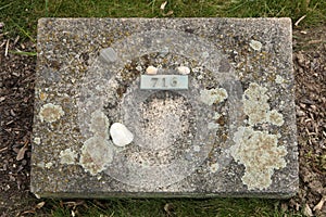 Jewish stones put on the grave an unknown victim of the Ghetto T