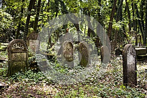 Jewish Tombs in very old cemetery