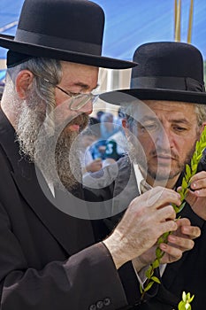 Jews preparing for succoth