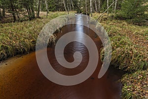 Jezerni creek in autumn color morning with red water and dry leafs on ground