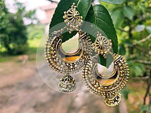 Jhumka ear rings hanging on leaves