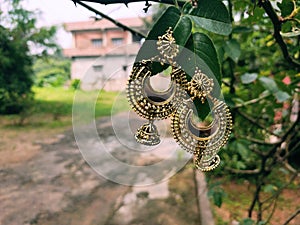 Jhumka ear rings hanging on leaves