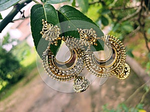 Jhumka ear rings hanging on leaves