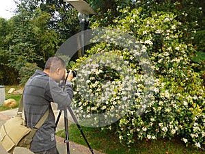 Jiangmen, China: photographers shooting flowers