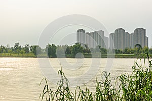 Jiangxinzhou Islet and Residential building