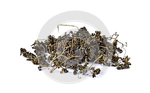 Jiaogulan ,Gynostemma pentaphyllum