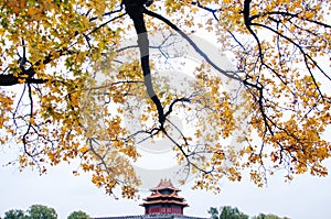 Jiaolou, Corner Tower. Forbidden City. photo