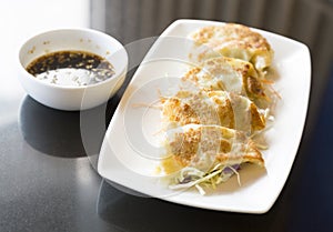 Jiaozi or gyoza, Chinese dumpling photo