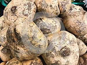 Jicama (HEE-kah-ma) sometimes referred to as yam bean