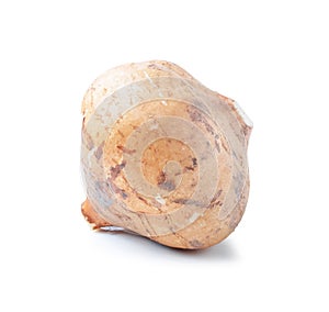 Jicamas isolated on white background.