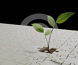 jigsaw with a plant is seedling from the soil
