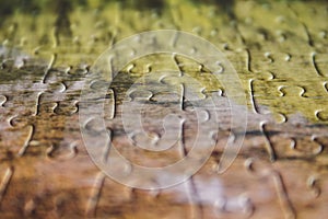 Jigsaw puzzle. Closeup of brownish jigsaw puzzle peices. Conceptual photo with focus on completed puzzle