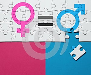 Jigsaw Puzzle Gender Equality Concept