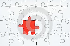 Jigsaw Puzzle Missing Piece