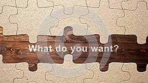 Jigsaw puzzle piece with text of \'What do you want