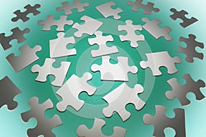 Jigsaw Puzzle Pieces