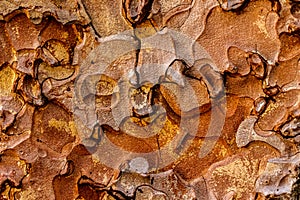 Jigsaw tree bark background