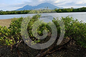 Jile Beach in Baluran National Park, Situbondo