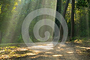 Jim corbett national park