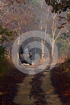 Morning safari at Jim Corbett photo