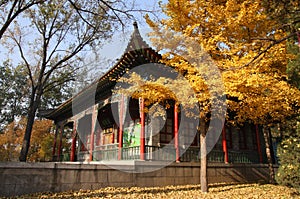 Jinci Temple Scenery 2