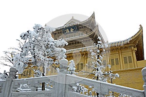 Jinding temple