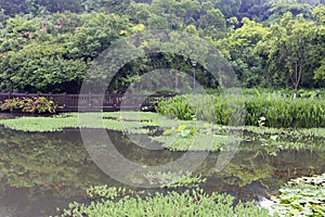 Jinghu lake after rain, adobe rgb