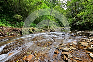 Jingualiao Fish and Fern Trail at Pinglin Dist., New Taipei City,