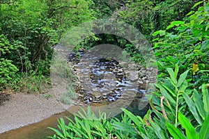 Jingualiao Fish and Fern Trail at Pinglin Dist., New Taipei City,