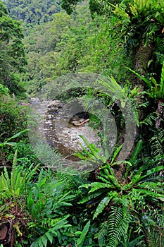 Jingualiao Fish and Fern Trail at Pinglin Dist., New Taipei City,